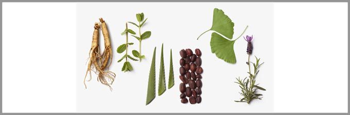 La-Biosthetique-Botanique-1-rework