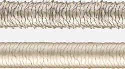 La-Biosthetique-More-Than-Blonde-05