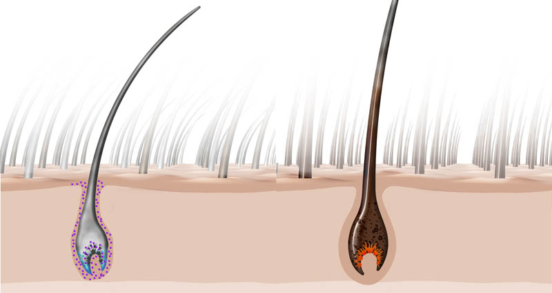 Friseur-Deggendorf-La-Biosthetique-Neues-Jahr-Neue-Pflege-03